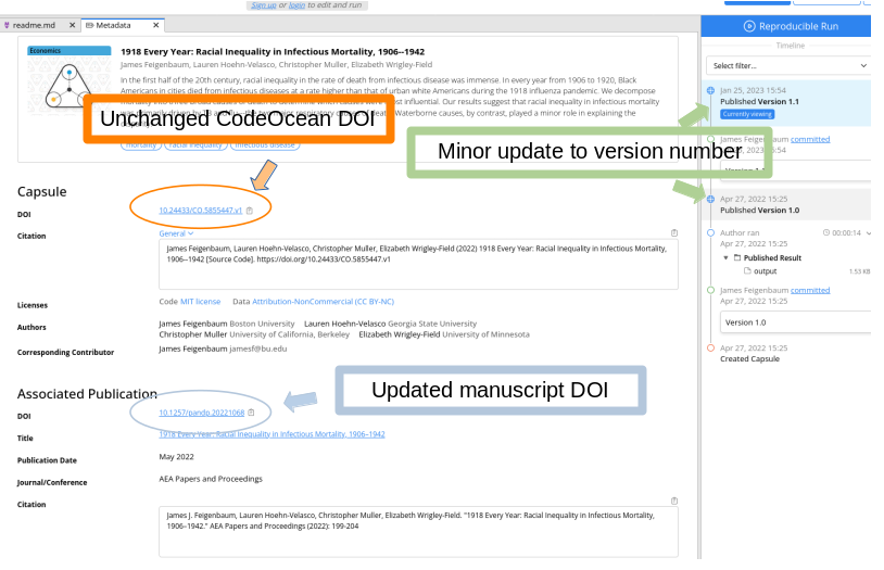 Updated CodeOcean after adding manuscript DOI