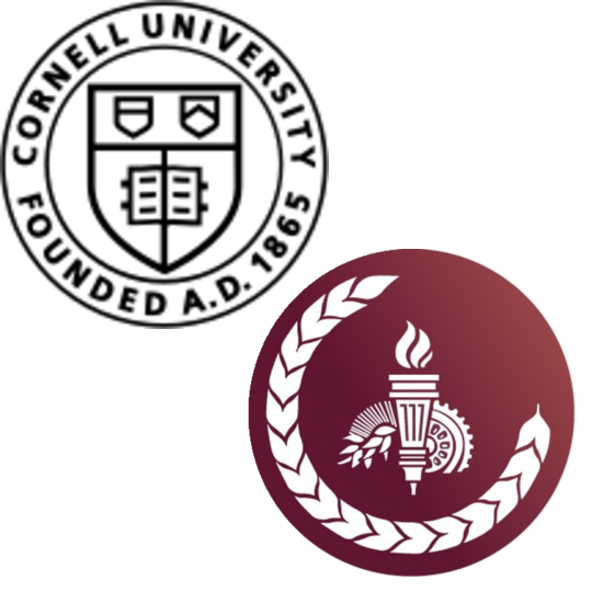 Cornell University seal behind the AEA Data Editor logo